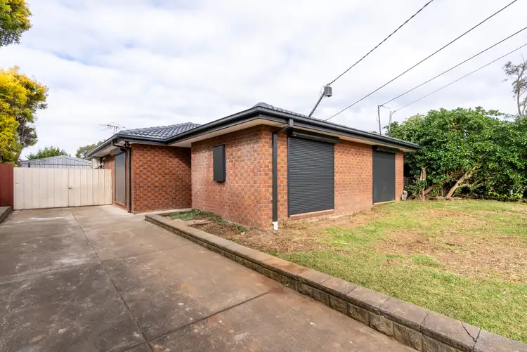 11 Willow Street