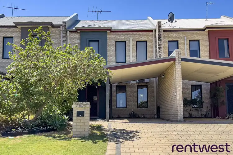 Main view of Homely house listing, 16 Gray Court, Hamilton Hill WA 6163