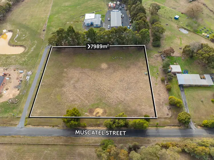 51a Muscatel Street, Invermay VIC 3352