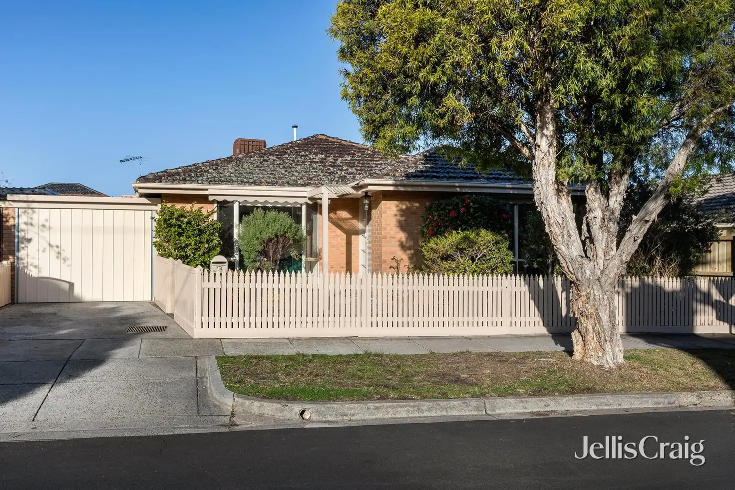 Main view of Homely house listing, 14 Cardiff Street, Bentleigh East VIC 3165