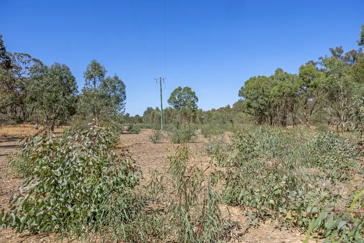 Fifth view of Homely rural property listing, Lots 1 & 2 Quinns Road, Wellsford VIC 3551