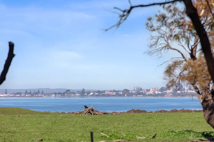 Fourth view of Homely rural property listing, 1195 Swan Bay Road, Swan Bay VIC 3225