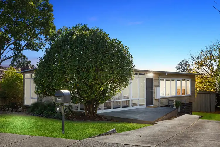 41 Johnson Drive