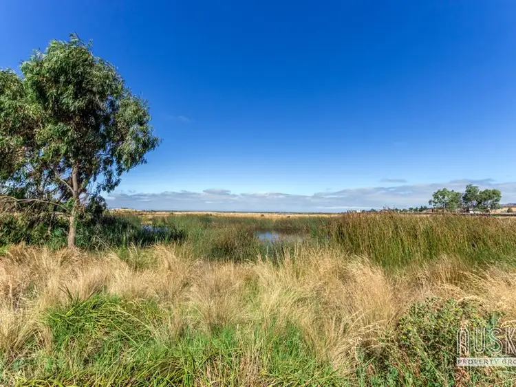 Second view of Homely house listing, 141 Citybay Drive, Point Cook VIC 3030