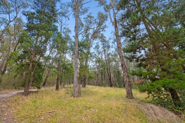 Sixth view of Homely rural property listing, 12 Bergs Lane, Mount Helen VIC 3350