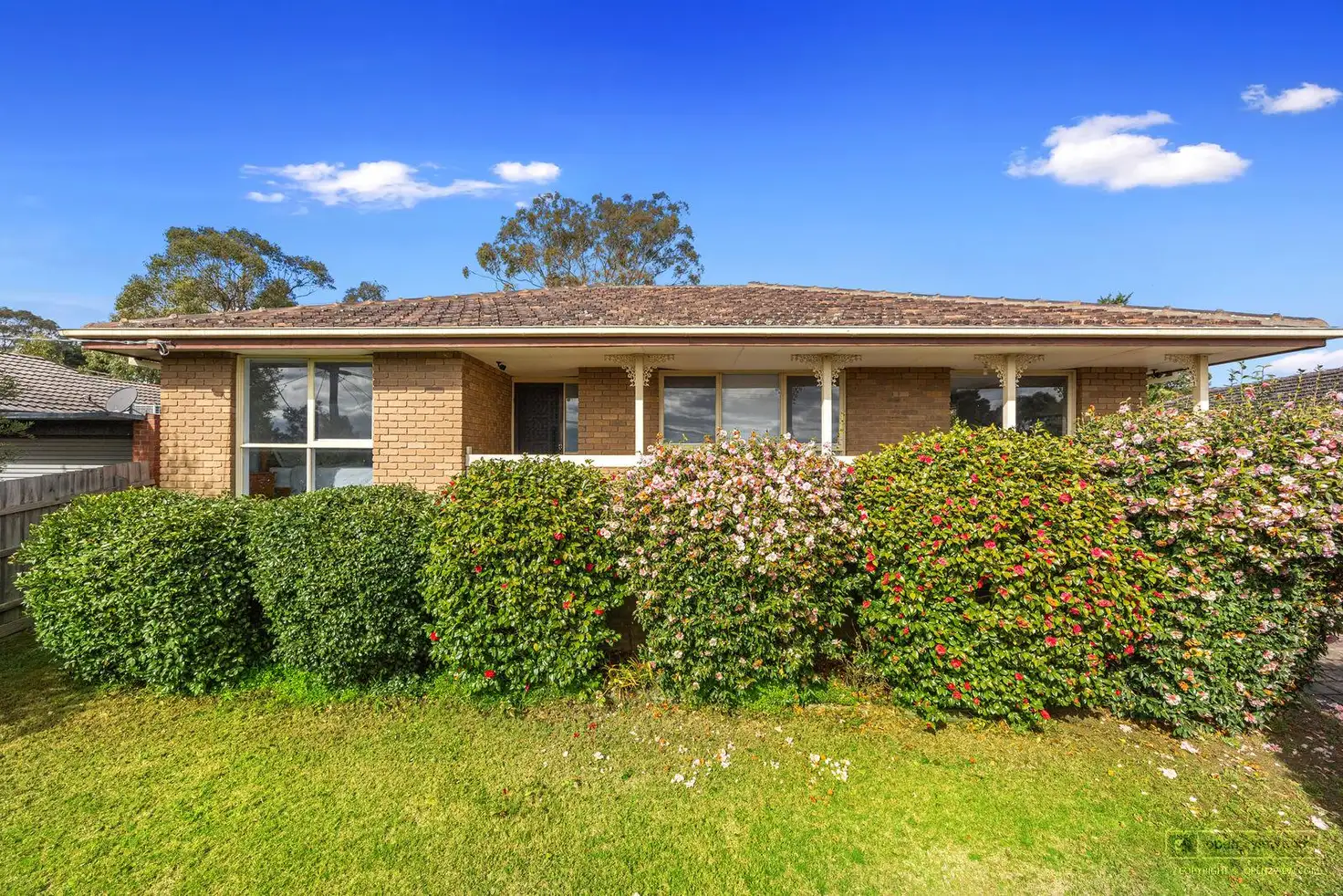 Main view of Homely house listing, 16 Bede Avenue, Coldstream VIC 3770