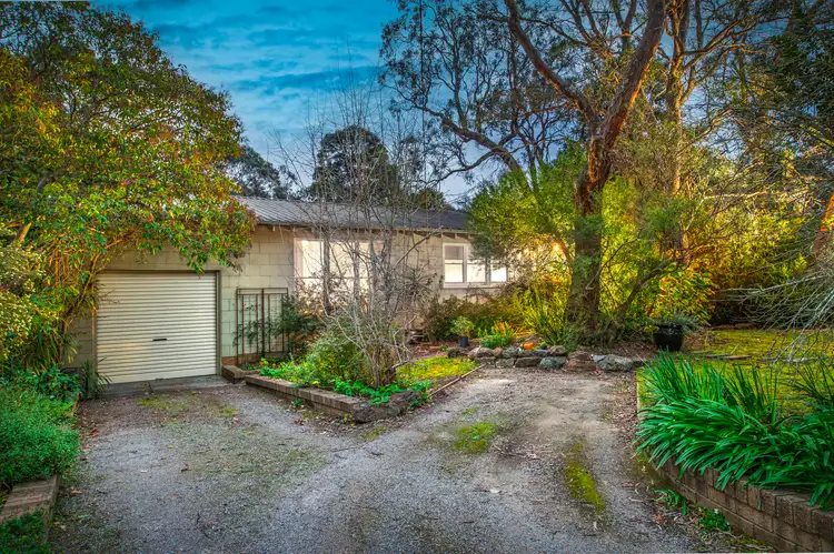 14 Myrtle Grove, Blackburn VIC 3130