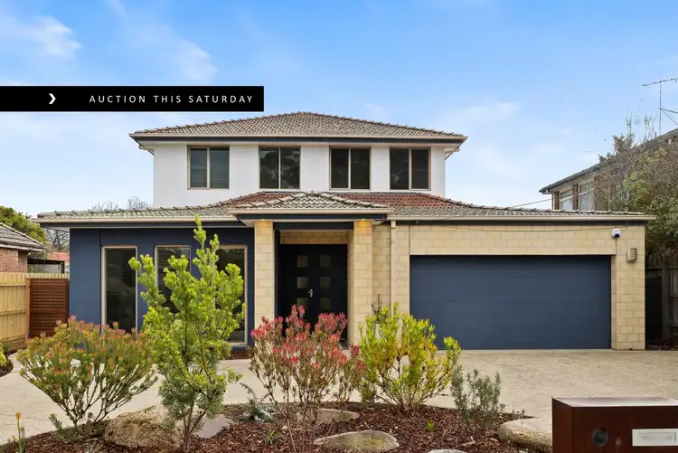 55 Mundy Street, Mentone VIC 3194