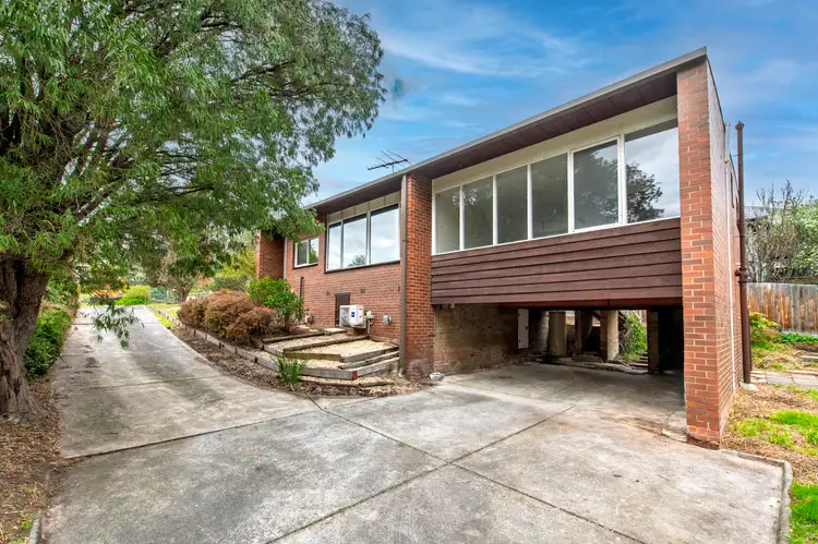 Fourth view of Homely house listing, 19 Lindsay Avenue, Nunawading VIC 3131