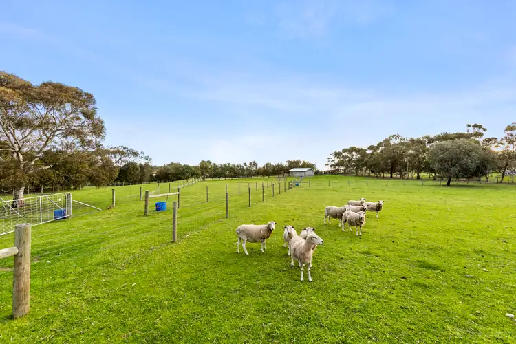 Second view of Homely rural property listing, 12-20 Wisbey Court, Drysdale VIC 3222