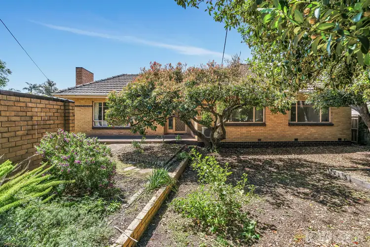 Third view of Homely house listing, 248 Balcombe Road, Mentone VIC 3194