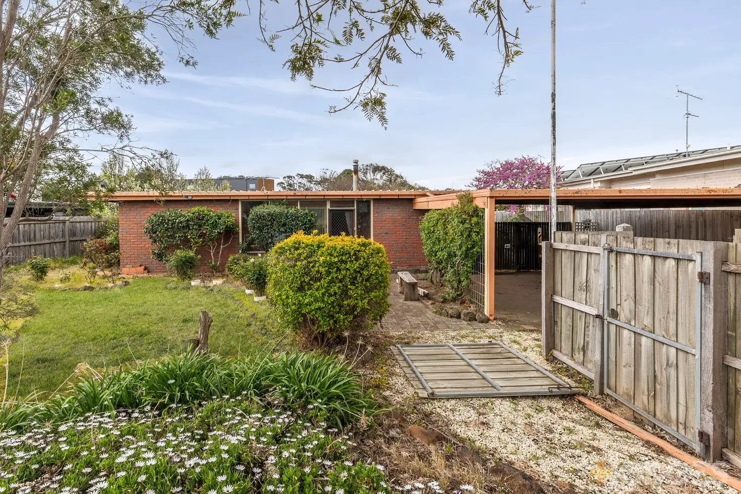 Main view of Homely house listing, 12 Callistemon Court, Ocean Grove VIC 3226