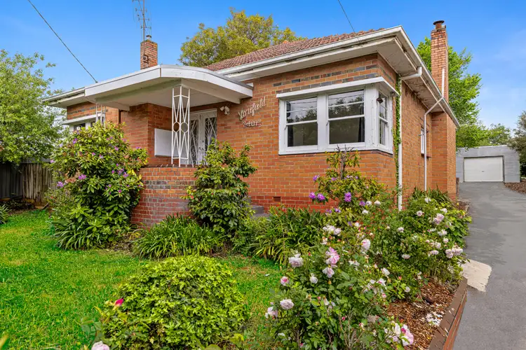 407 Humffray Street South