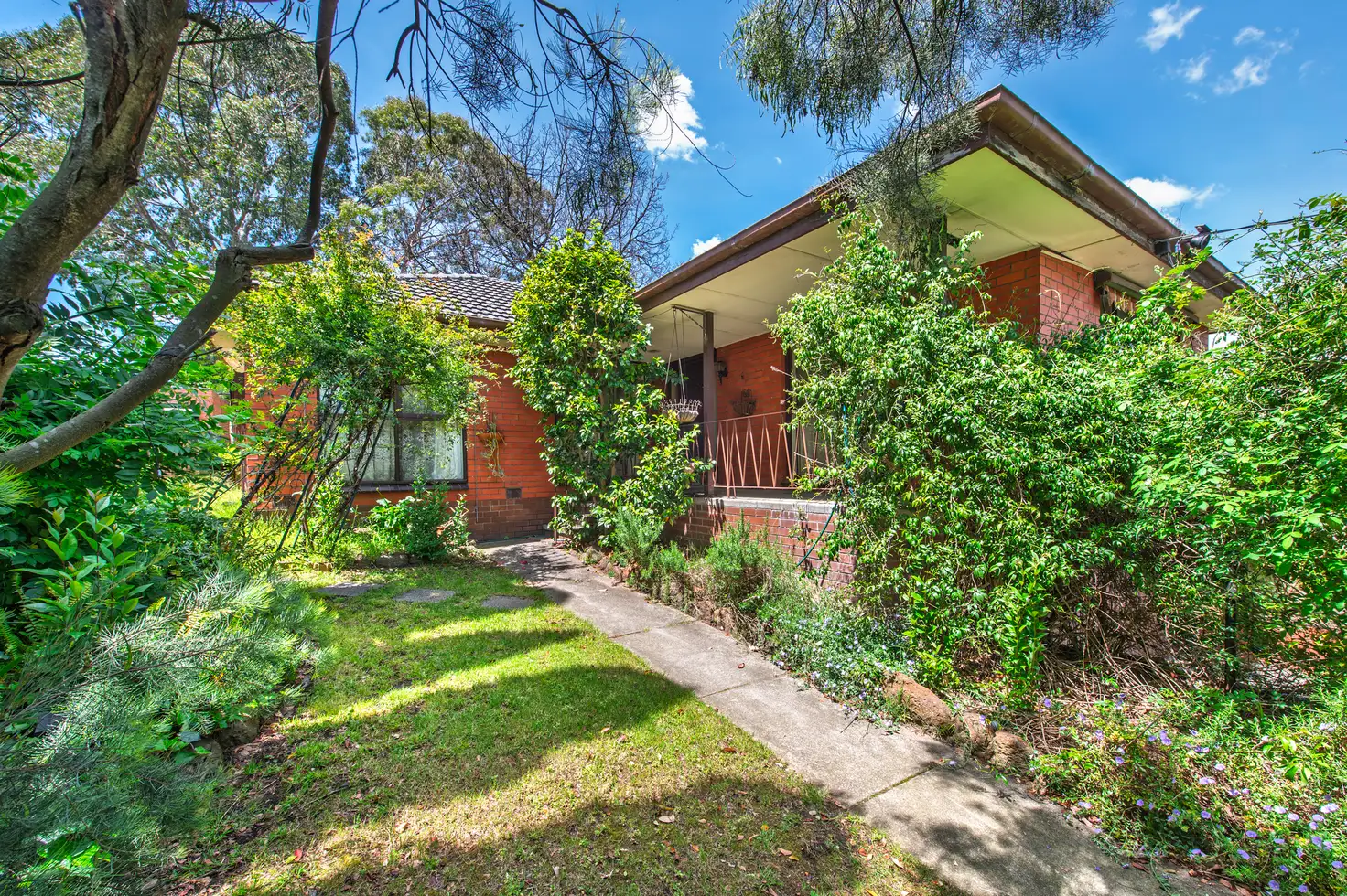 Main view of Homely house listing, 5 Cyprus Avenue, Nunawading VIC 3131