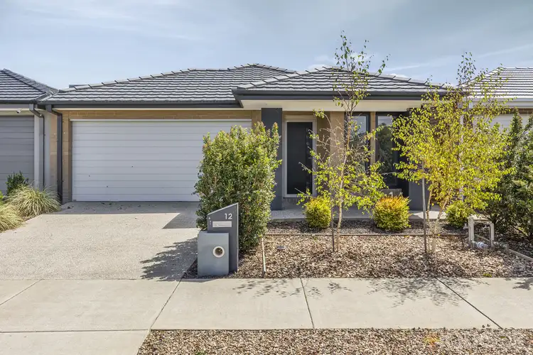 12 Chamberlain Drive