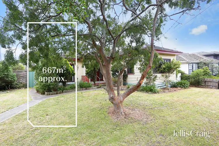 15 Paloma Street