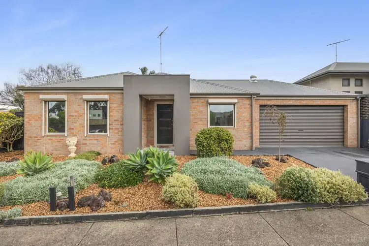31 Daintree Way