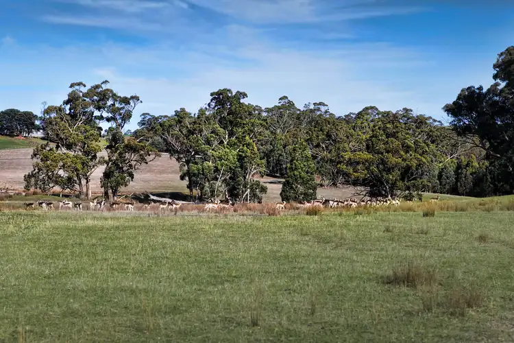 Fifth view of Homely land listing, 40 Ellery Close, Trentham VIC 3458