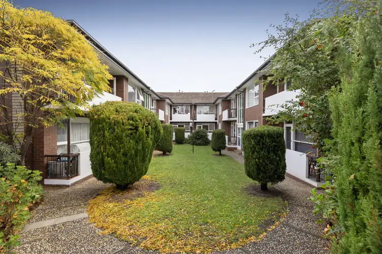 293 Kooyong Road