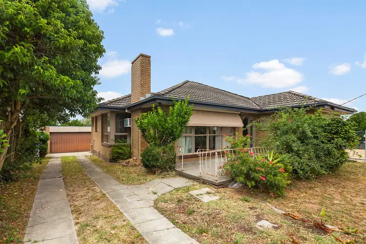 16 Wilma Court