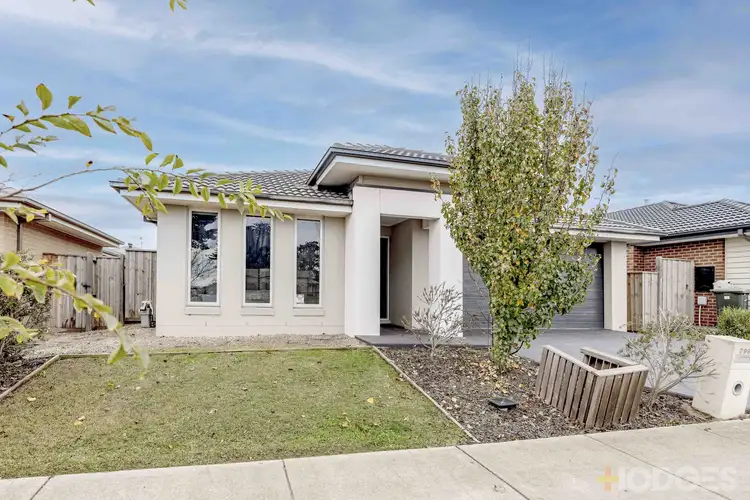 299 Boundary Road