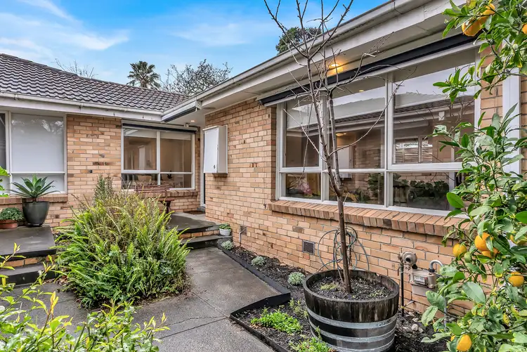 49-51 Patty Street
