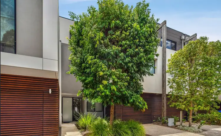 149 Male Street