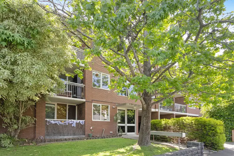 117 Alma Road