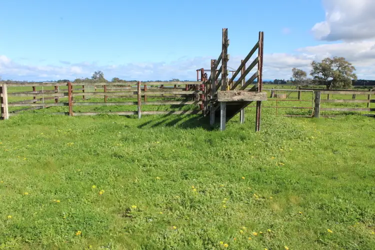 Seventh view of Homely rural property listing, 142 Tylers Road, Pearsondale VIC 3851