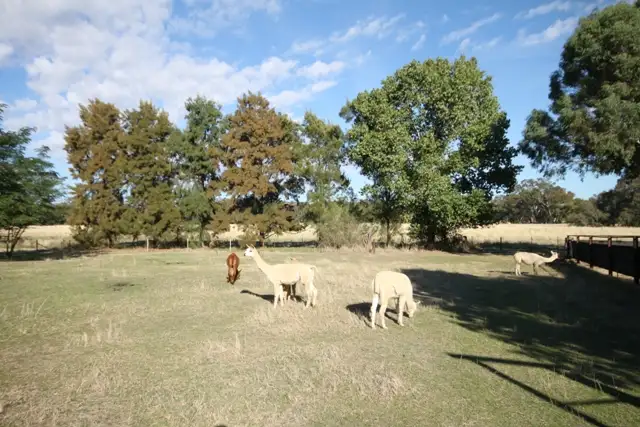 Seventh view of Homely rural property listing, 9211 Tumbarumba Road, Ladysmith NSW 2652