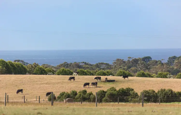 Main view of Homely house listing, 2249 Mornington-Flinders Road, Flinders VIC 3929
