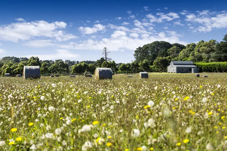 Sixth view of Homely land listing, 26A Merricks Road, Merricks VIC 3916