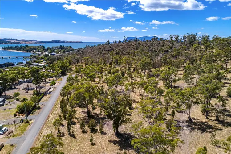 Seventh view of Homely land listing, Lot 1 Mary Street, Orford TAS 7190