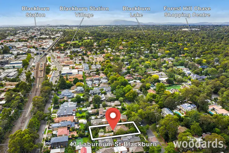 Sixth view of Homely house listing, 43 & 43A Laburnum Street, Blackburn VIC 3130