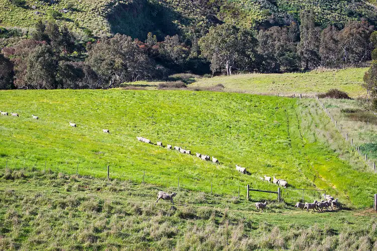Fourth view of Homely rural property listing, 188 Nobles Road, Gnarwarre VIC 3221