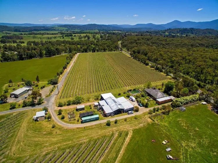 Fourth view of Homely rural property listing, 160 Healesville - Koo Wee Rup Road, Healesville VIC 3777