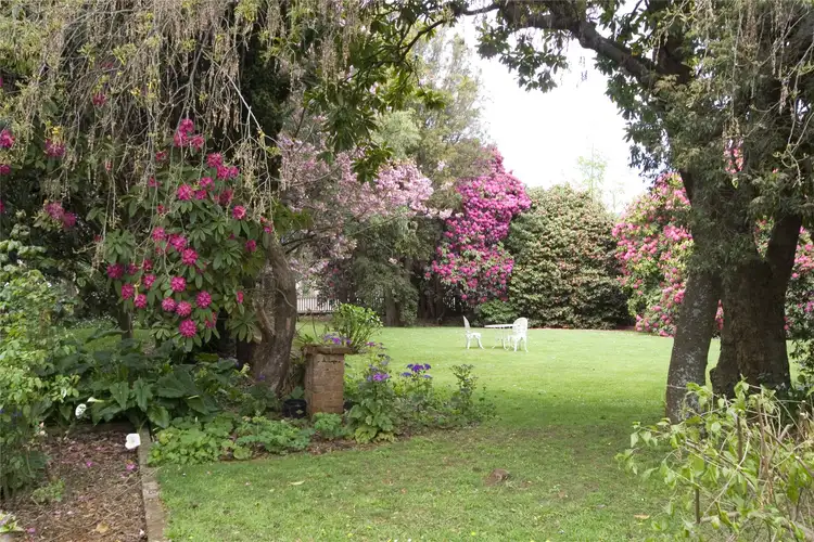 Second view of Homely house listing, 46 King Street, Scottsdale TAS 7260