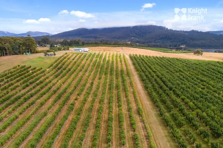 Fourth view of Homely land listing, Lot 1 Narrows Road, Dover TAS 7117