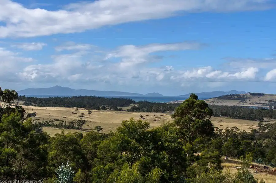Main view of Homely land listing, 31 Bresnehans Road, Little Swanport TAS 7190