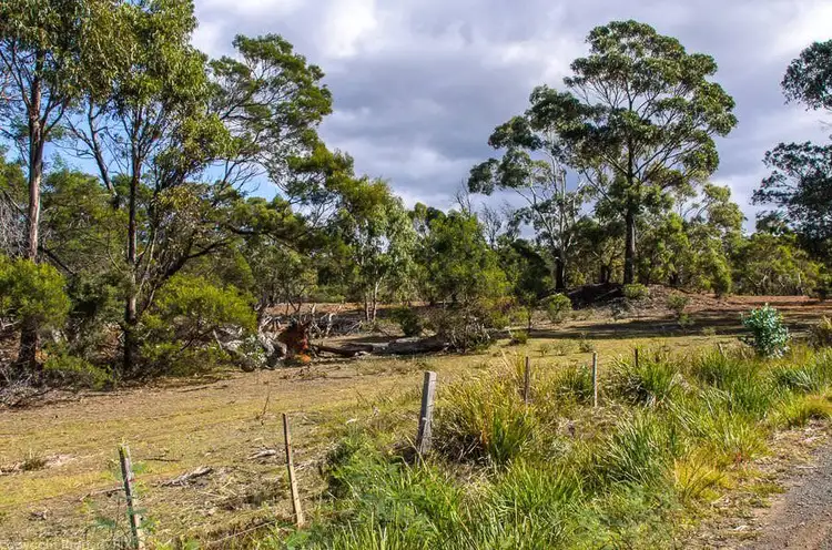 Third view of Homely land listing, 31 Bresnehans Road, Little Swanport TAS 7190