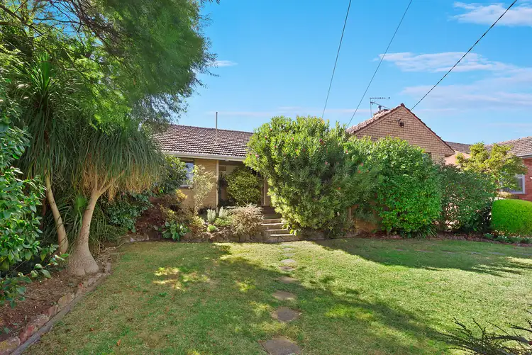 Fifth view of Homely house listing, 24 Flora Grove, Ivanhoe East VIC 3079