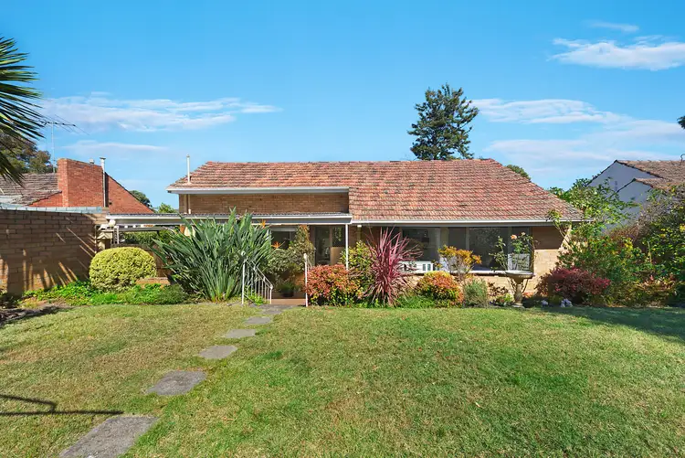 Sixth view of Homely house listing, 24 Flora Grove, Ivanhoe East VIC 3079