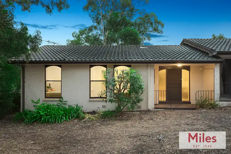 4/84 Airlie Road