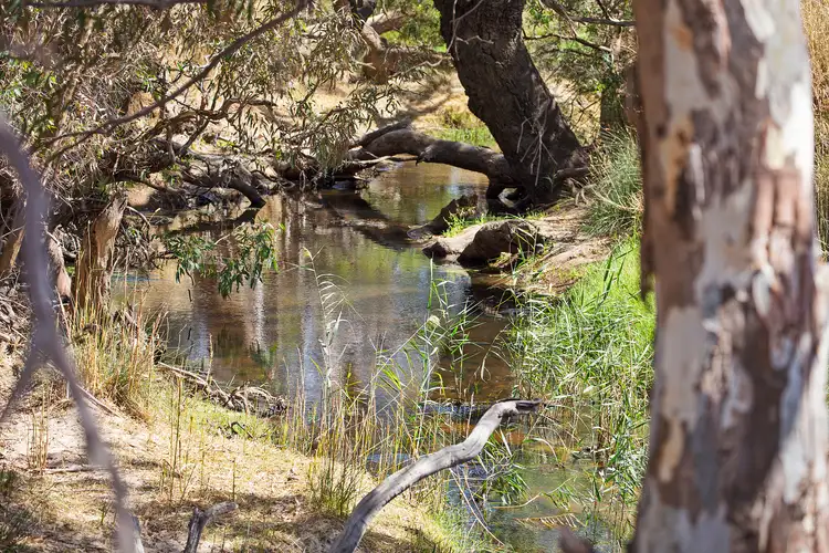 Fifth view of Homely rural property listing, 410-450 Bakers Lane, Teesdale VIC 3328