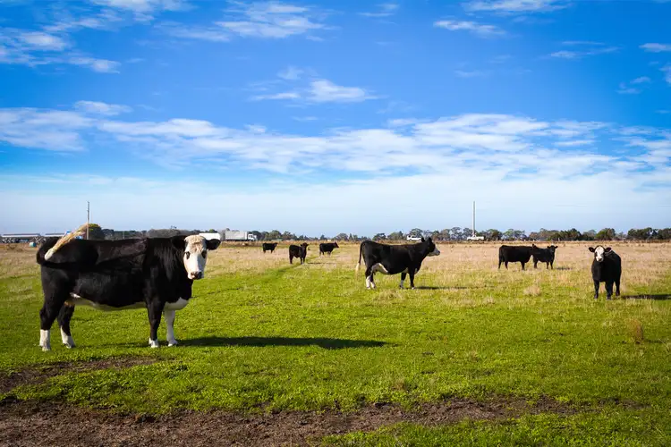 Fourth view of Homely land listing, 25 Soldiers  Road, Pakenham South VIC 3810
