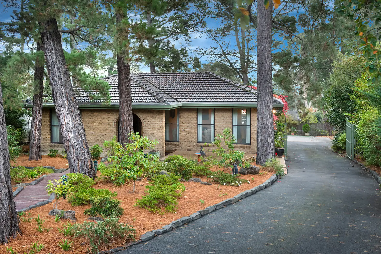 Main view of Homely house listing, 48 Pine Crescent, Ringwood North VIC 3134