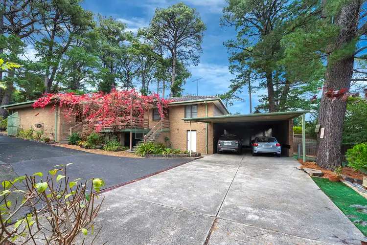 Second view of Homely house listing, 48 Pine Crescent, Ringwood North VIC 3134
