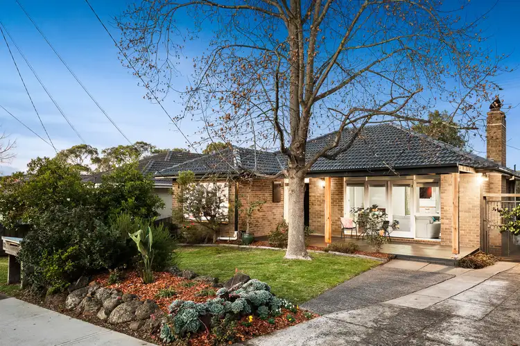 Main view of Homely house listing, 13 Busana Way, Nunawading VIC 3131