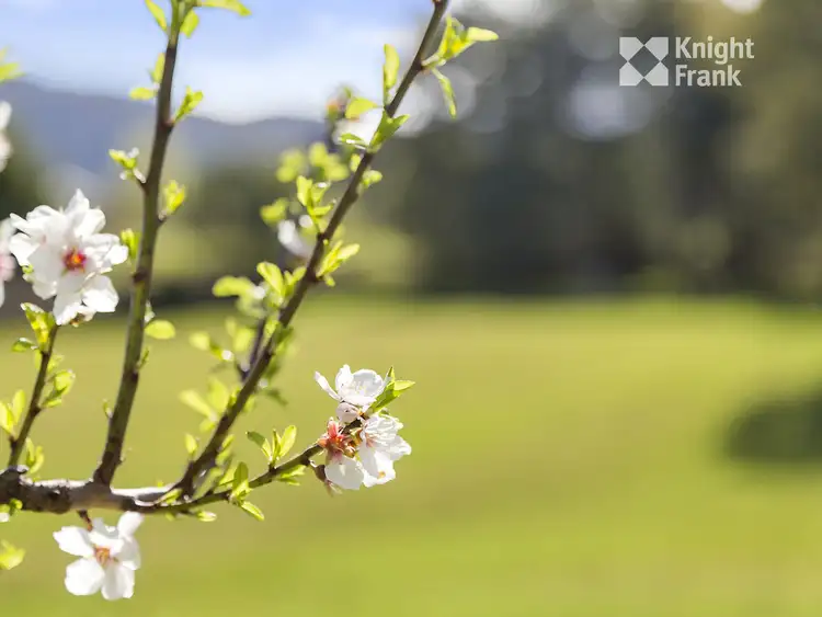 Seventh view of Homely land listing, 8 Weedings Way, Woodbridge TAS 7162