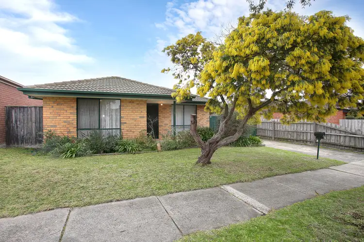 19 Rundle Drive, Carrum Downs VIC 3201